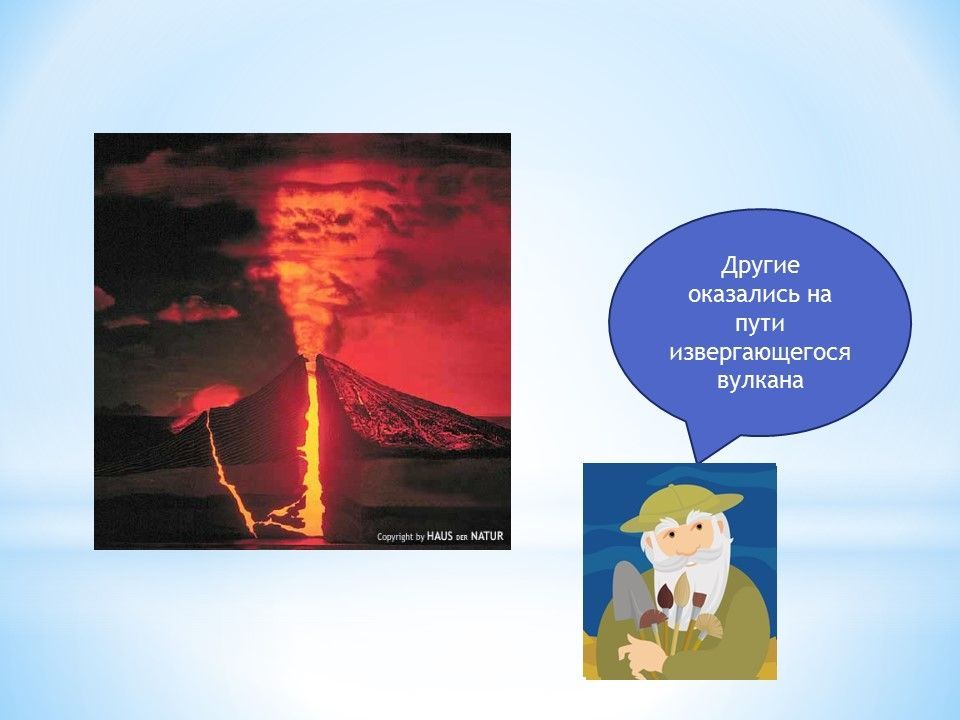 Слайд5.jpg
