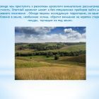 Слайд7.jpg