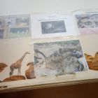 IMG-20191221-WA0084.jpg